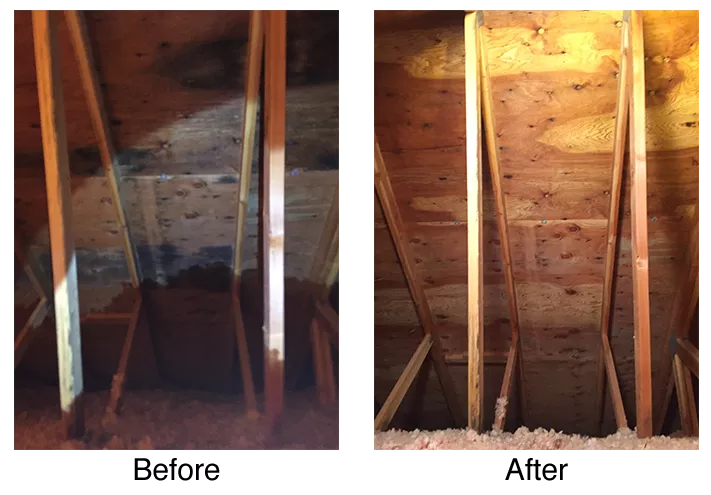 Before and after photo of mold remediation in an attic